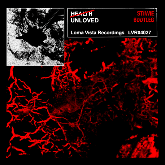 Stiwie - UNLOVED (HEALTH BOOTLEG)