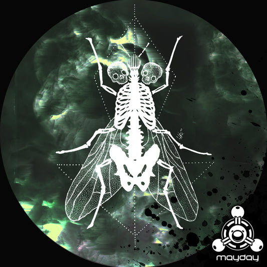 Stiwie - Quadruplex